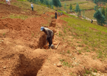 Rutsiro: Barishimira imirongoti yitezweho kongera umusaruro.