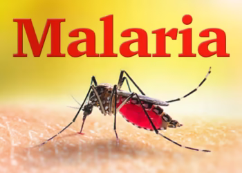 Malaria