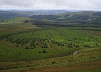 Kubungabunga ibishanga: Inkingi y’iterambere rirambye mu Rwanda