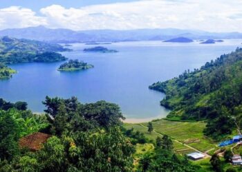 Gusubiranya Icyogogo cya Congo-Nil: Umushinga uri guteza imbere ubuzima, ibidukikije n’imibereho y’abaturage