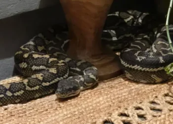 Umugore yararanye n’uruziramire haba ikintu kidasanzwe