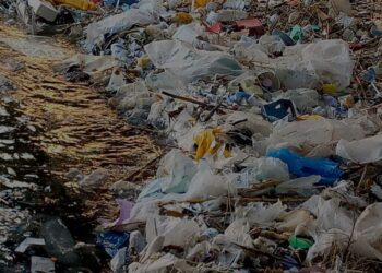 Pulasitiki mu Kivu: “Umusaruro w’Amafi mu Marembera?”