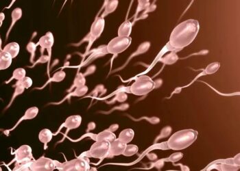 Impinduka z’ibihe zifite ingaruka ku bushobozi bw’intanga z’abagabo