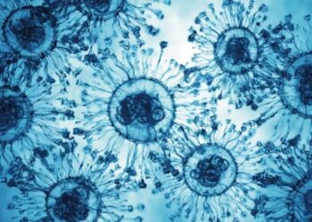 Cicada”: Ubwoko bushya bwa COVID-19 bwatangiye kugaragara